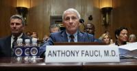 Senate Panel Votes to Hold Fauci in Contempt After Fifth Amendment Testimony