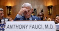 US Senate committee votes to hold Fauci in contempt over Covid questions