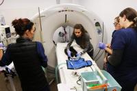 Bend veterinary clinic offers state-of-the-art care