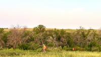 Badlands Search and Rescue gives details on 13 day search for missing hiker in Theodore Roosevelt National Park