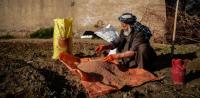 FAO: Rising Fertilizer Prices Threaten Afghanistan’s Wheat Production