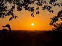 ‘Wisdom’ from the medieval era on the hottest – and unhealthiest – days of the year