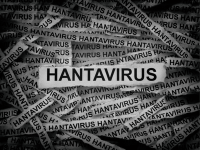 Hantavirus detected in France tourist now isolated in Spain