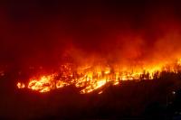 Climate Change Turned Ontario's Century Fires Into Six-Year Events, WWA Finds