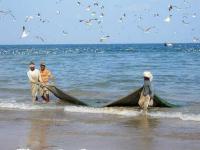 Sri Lanka Navy rescues 11 Indian fishermen after their boat meets with accident