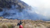Fire burns 60 hectares in Indonesia's Mount Bromo National Park