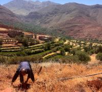The Invisible Infrastructure of Rural Morocco: Why Investing in Agriculture is Investing in Public Health