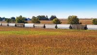 Train Cars Transporting Corn Derail Near Crooks