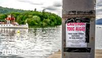All of England's rivers and lakes polluted with chemicals, officials say