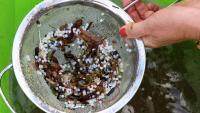 'Environmental disaster' fears after one billion plastic pellets enter River Tyne
