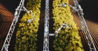Eatable Adventures launches deeptech accelerator to bring AI, biotech and robotics into agri-food