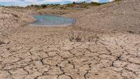 Tampa Bay Drought Persists Despite Recent Heavy Rainfall