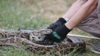 Florida News That Impacts You – August 6th, 2026