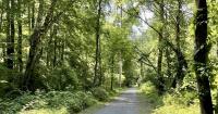 Exploring rail trails – a great way to wander