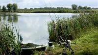 Fish Farmers Battle Heat and Drought to Protect Stocks