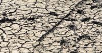 Historic heatwaves drying up village ponds