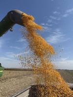 Outside Markets, Yield Debate Dominate Midweek Ag Trade