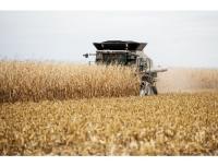 Minnesota U.S. Senate candidates make pitch to Farm Fest audience