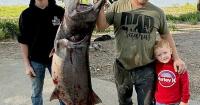Elusive catch: Angler snags large paddlefish that was at large for 22 years