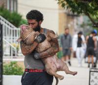 Bronx explosion: Family reunites with beloved dogs feared lost in deadly five-alarm apartment building fire