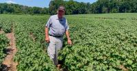Diversification lets South Carolina farmer thrive