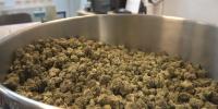 Jonesboro dispensary ranks among top five in Arkansas for July medical marijuana sales