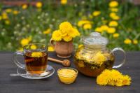 Dandelion’s Nutritional and Medicinal Benefits Draw Renewed Scientific Interest