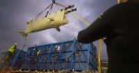 Seven beluga whales rescued from closed marine park in Canada now being cared for at SeaWorld San Antonio