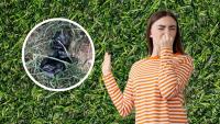 Iowa Rant: I'm Sick of the "Eternal Poos" Left on Hiking Trails!