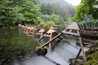‘There’s no funding for the weir right now’: Sitka Tribe of Alaska introduces AI monitoring at Redoubt
