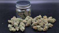 What South County Gardeners Should Know Before Growing Cannabis at Home