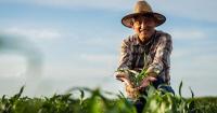 Kentucky Has the Nation's 14th Highest Reliance on H-2A and H-2B Workers