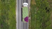 Cyclospora outbreak follows years-long pattern of Taylor Farms deflecting blame