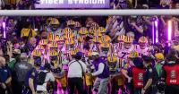 Private investors could help LSU build a revenue engine to fund athletics. Here's what we know.