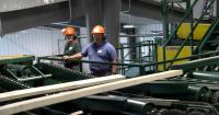 Local teachers experience sawmill at Wood Industry Teacher Camp in Antigo