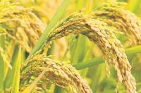Farm sector posts 2.9% growth in Q2
