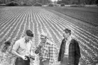 Vernon history photo shows appreciation for farmers