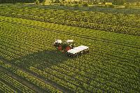 Farm-bots: Bringing AI into the fields