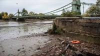 England’s Rivers Are Dying as Shocking New Report Exposes the Water Crisis Authorities Failed to Stop