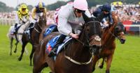 Ethical Diamond finds his sparkle again at Leopardstown