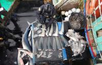Canadian international IUU patrol discovers 52 potential violations