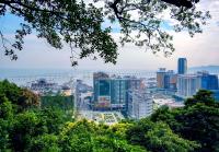 Climate change is altering forests in ways that could worsen air pollution