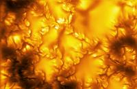 These are the best photos of the sun that scientists have ever taken