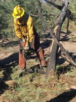 Career paths key to Arizona post-incarceration success