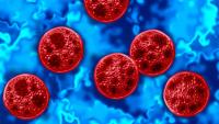 Cyclosporiasis outbreak continues to grow in Florida, with around 100 new cases