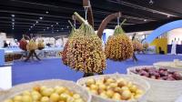 Abu Dhabi's dates festival season highlights how Emiratis pass down farming traditions