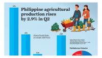 Philippine agricultural production rises by 2.9% in Q2