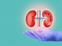 Financing at Mironid to advance cAMP modulators for kidney disease