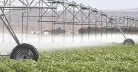 Irrigation critical for crops in drought year