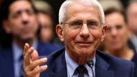 Senate Panel Holds Fauci In Contempt As States Eye Charges